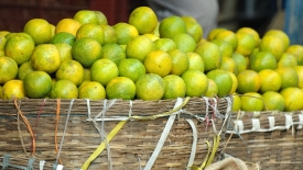 Photo Lemons for sale at Market Mumbai India