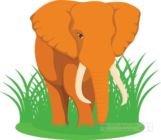 african elephant africa clipart