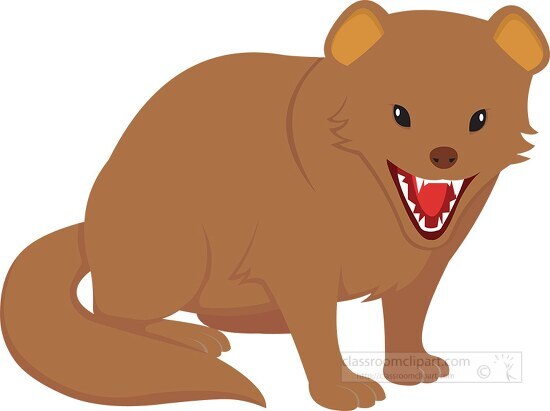 angry mongoose showing teeth clipart