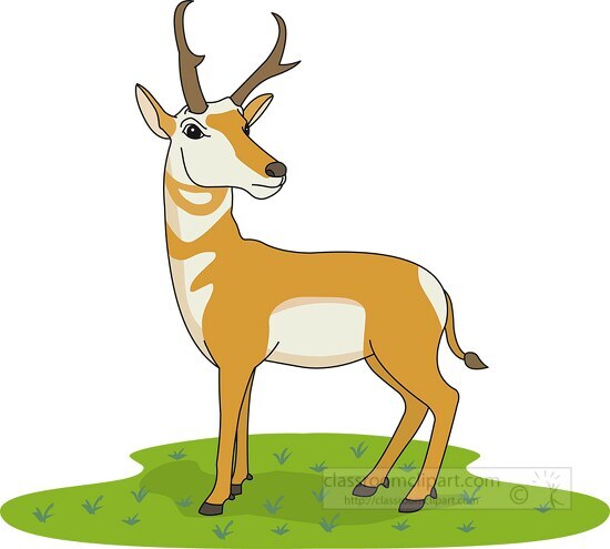 antelope standing on green grass clipart 5729