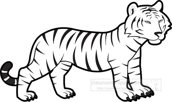 baby bengal tiger black white outline clipart