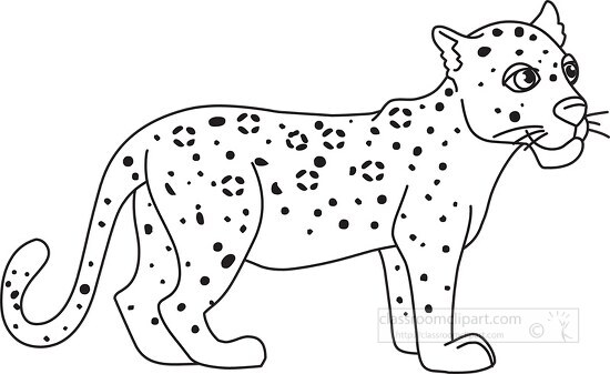 baby leopard black white outline