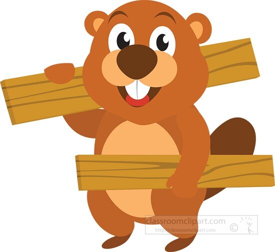 beaver cartoon character holding wood planks clipart