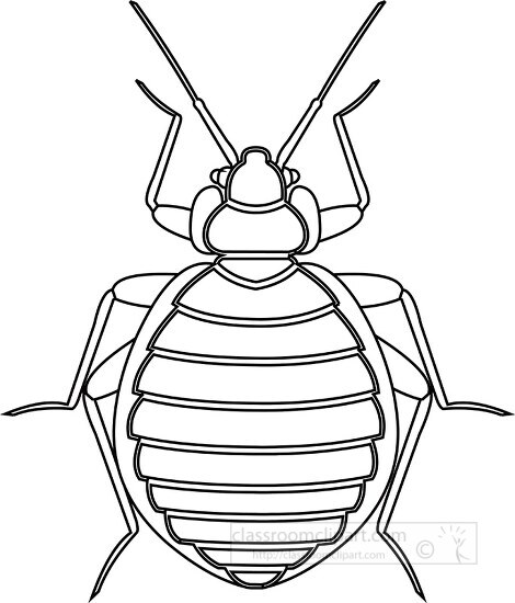 bed bug insect black white outline clipart 818