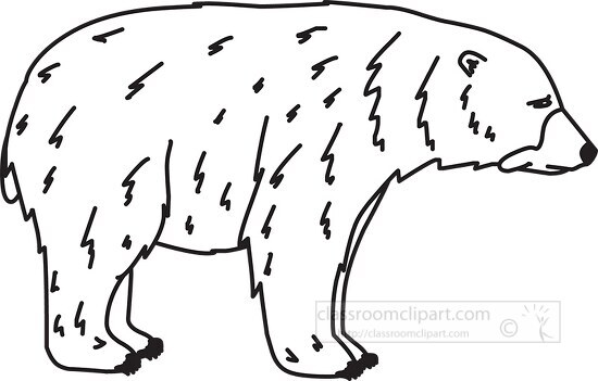 black bear outline cliprt