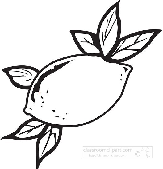 black outline lemon with leaf clipart