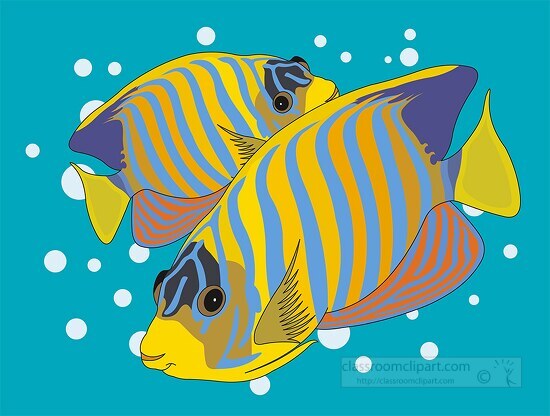 brightly colored fish 25