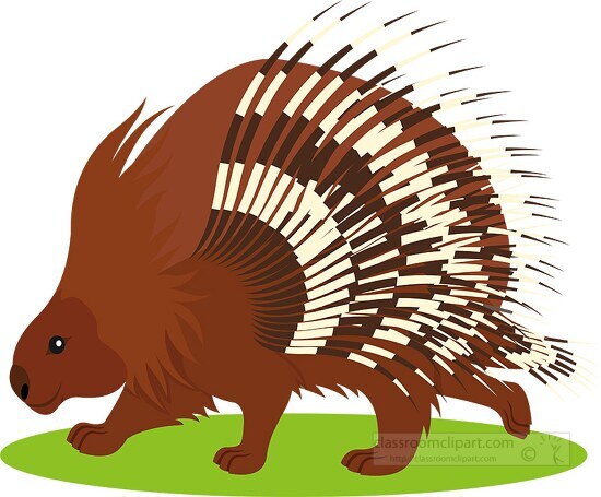 brown porcupine clipart 6718