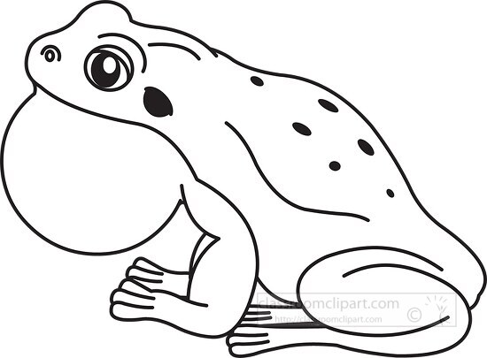 bull frog vector black outline clipart