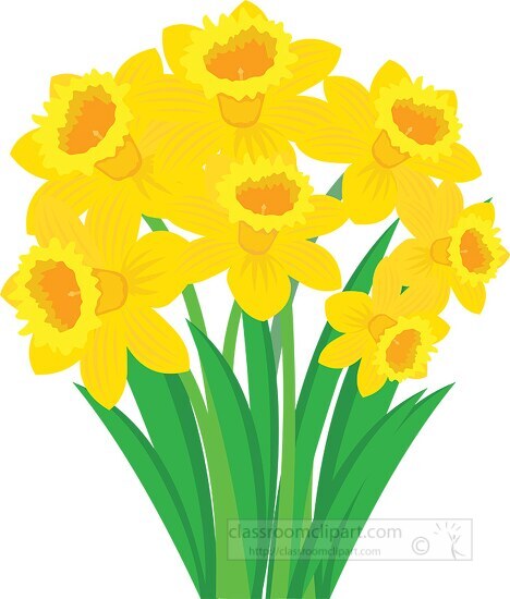 bunch of yellow daffodil spring flower clipart