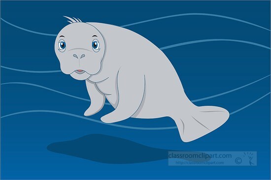 cartoon style vector manatee sea animal clipart 2