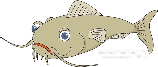 catfish clipart