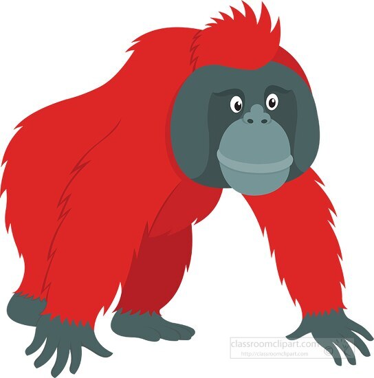 clipart rainforest orangutan in borneo clipart