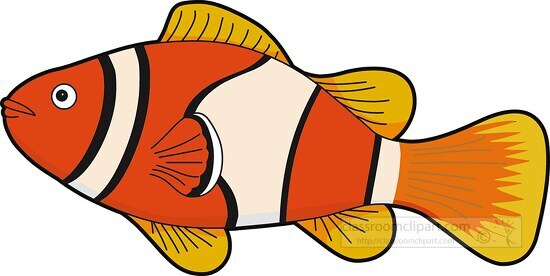 clownfish clipart