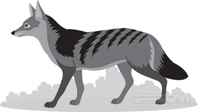 coyote gray color