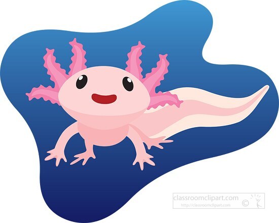 cute axolotl salamander amphibian clipart