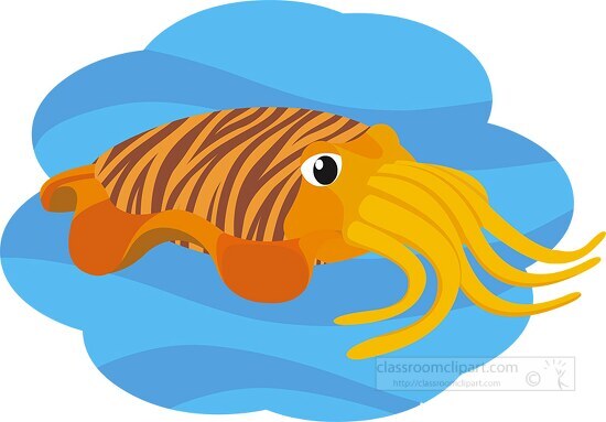 cuttlefish mollusk clipart 614