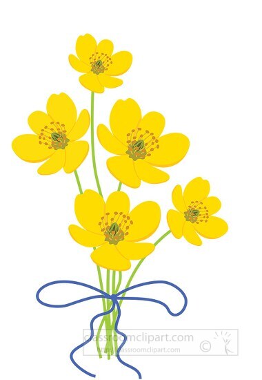 eranthis hyemalis spring flower clipart 218