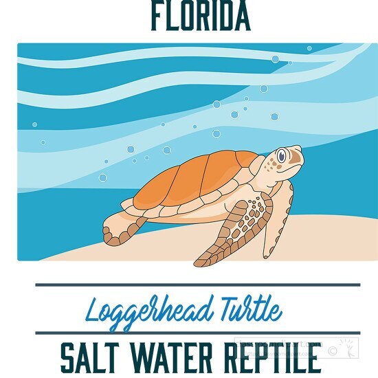 florida state saltwater reptile loggerhead turtle vector clipart