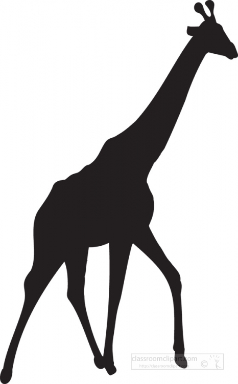 Giraffe Silhouette Clipart