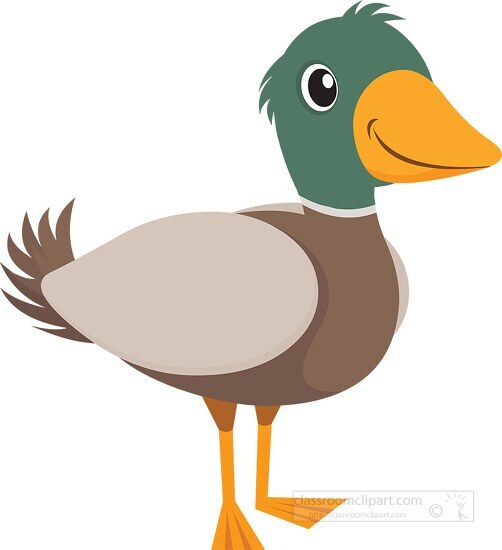 green brown yellow duck clipart 6926