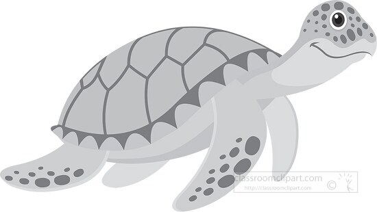 green sea turtle marine animal gray clipart