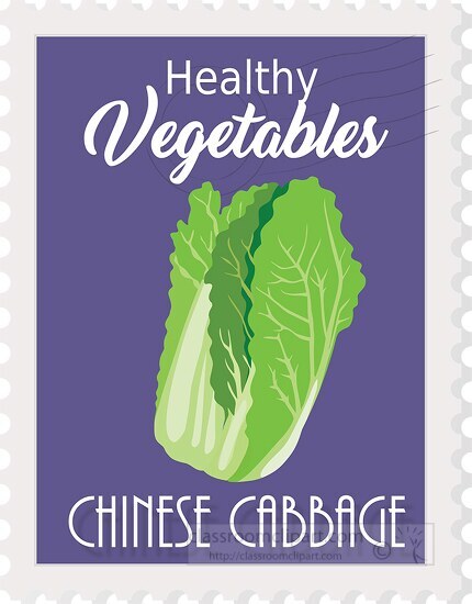 healthy vegetables chinese cabbage clipart