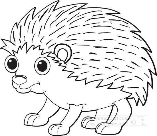 hedgehog with big eyes black white outline clipart