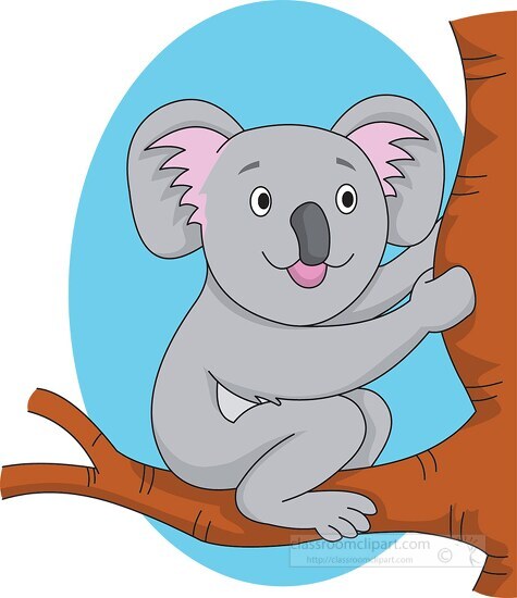 koala sitting on tree branch clipart