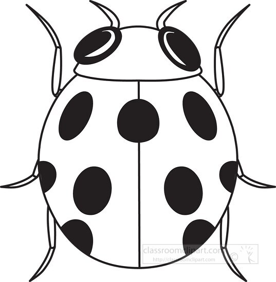 ladybug insects black white outline 983