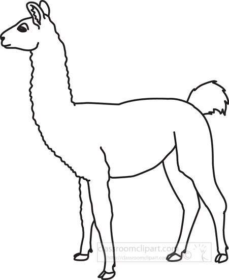 llama animal outline cliprt
