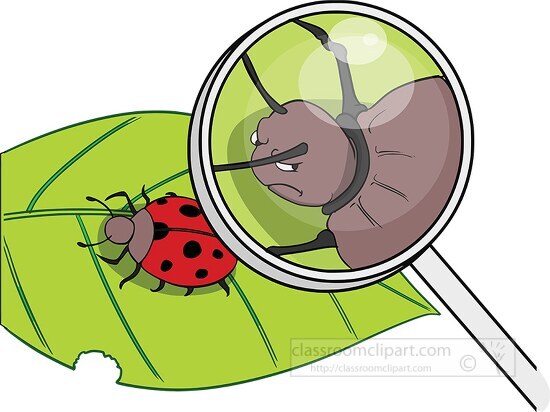 magnifying glass bug clipart
