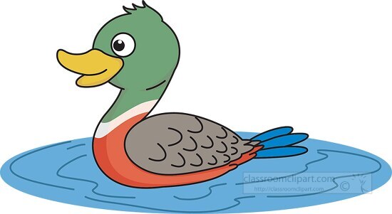 mallard duck clipart