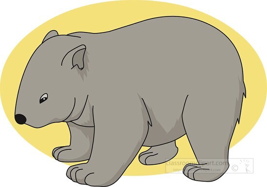 marsupial wombat clipart