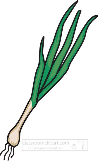 one green onion clipart