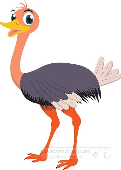 ostrich bird clipart