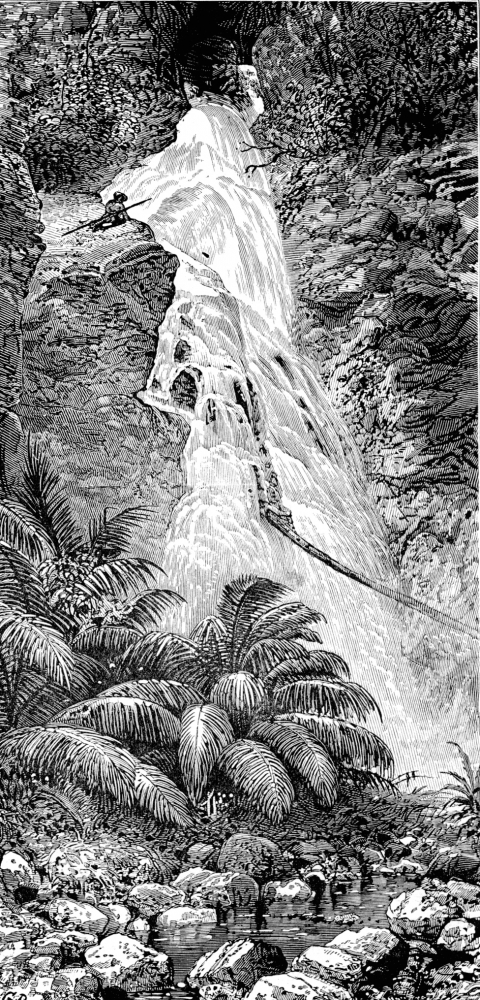 A Mountain Cascade in Ecuador