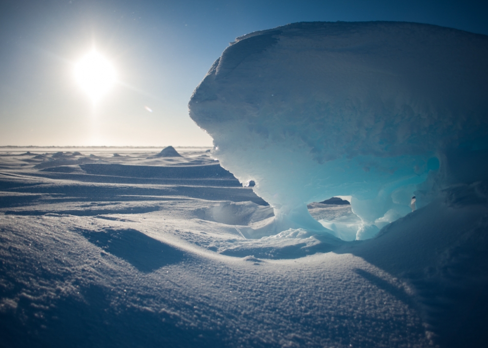 acrtic sheet of ice known as an ice floe 001