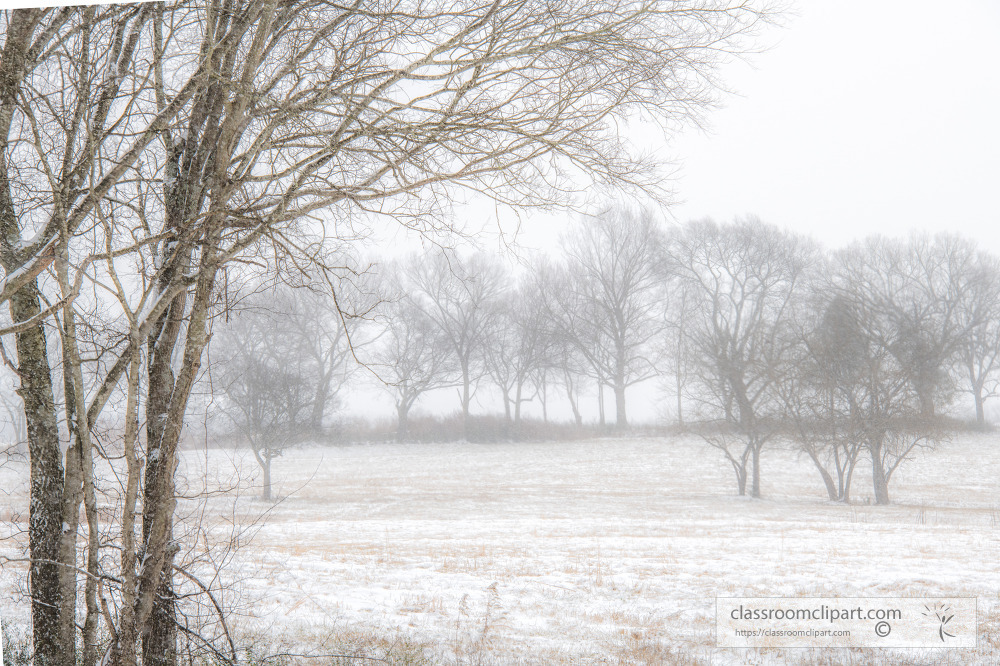 agricultural land covered in snow4