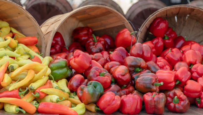 Baskets of red and yellow bell peppers at a farmer