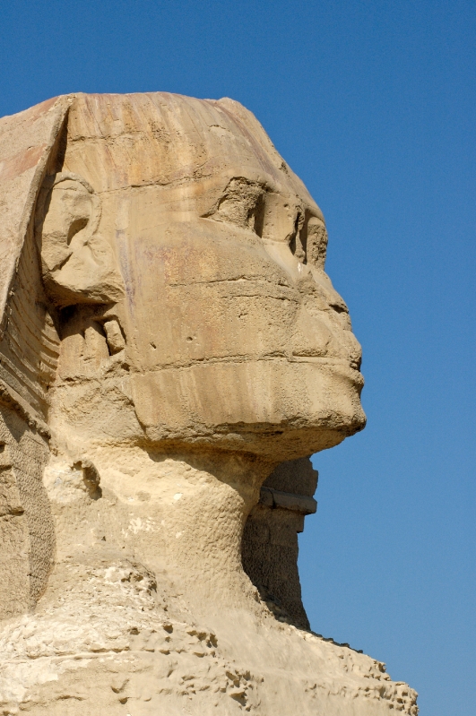 Close up of Sphinx Giza Egypt photo 5400