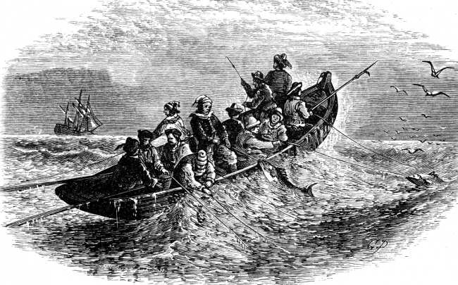 cod fishing historical illustration