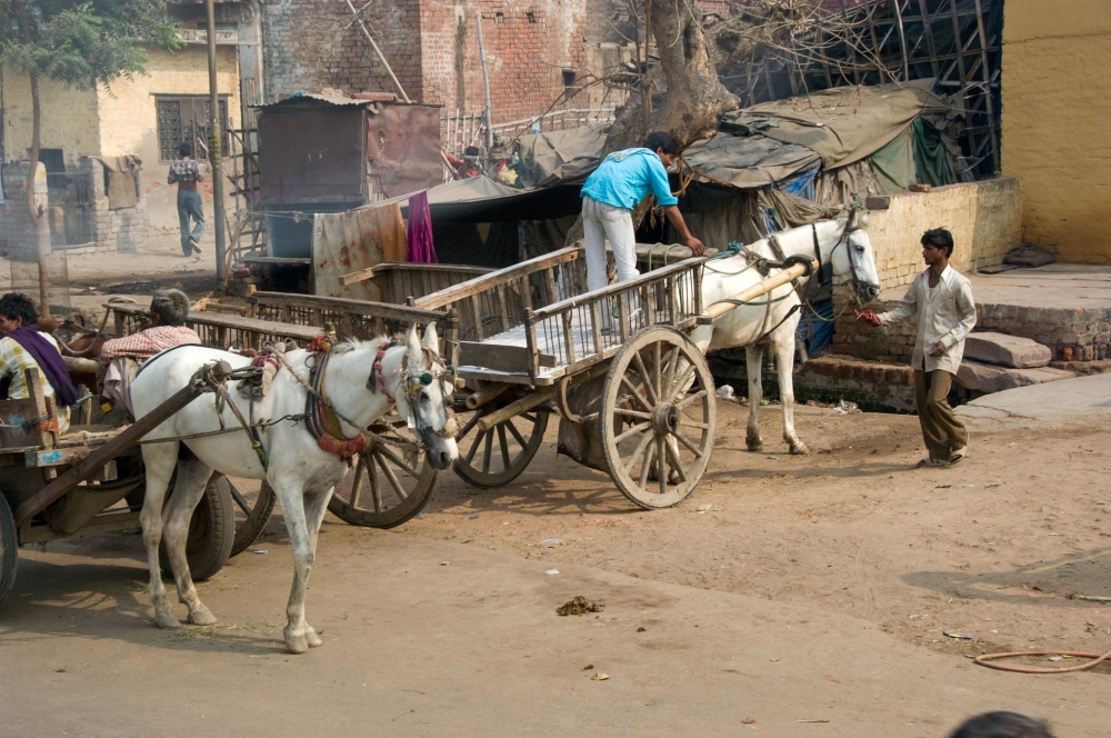 Delhi, India