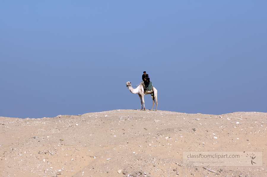 egyptain guard sitting on camel photo image