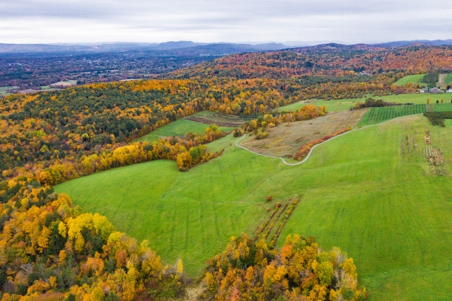 Fall color aerial view of trees orange yellow massashusetts