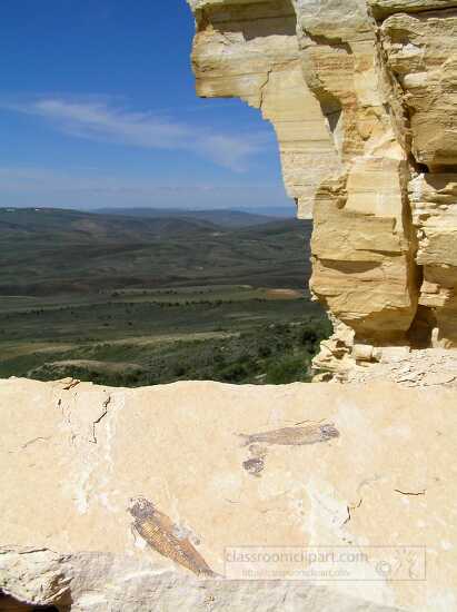 Fossils on the Ridge