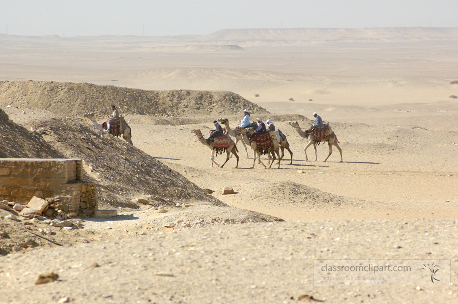 group of camels in the desert image