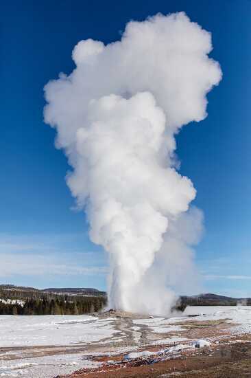 Old Faithful erupts on a clear winter day