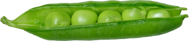 pea pod on transparent background