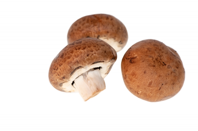 portebello mushroom white background